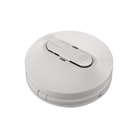 Smoke alarm Photo  Surface  230V rech Li 755RLPSMA4
